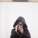 진성세탁 이미지