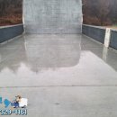 현대오토모터스 이미지