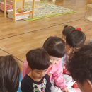 보령오천어린이집 | 도레미파충류 보령 오천초등학교 병설유치원 체험학습 후기