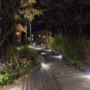 오렌지김밥 | [20251106~07] 수락휴 자연휴양림 개별동 1박 후기②, 오렌지분식 &lt;떡볶이+김밥+튀김&gt;