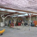 4M 모터스 이미지