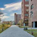 한림번영 이미지