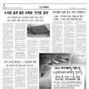 신안슈퍼 이미지