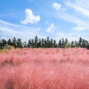 신례동로 이미지