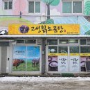 고성칡소곰탕