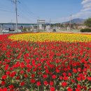 장수로터리 이미지