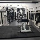 비디피트 이미지