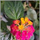 주안역 센트레빌 아파트 이미지