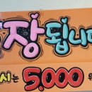 최서윤집밥 이미지