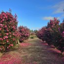 하천리-4 이미지