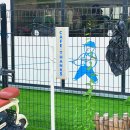 댕스피크닉 | [용인/수지] 용인애견카페 <카페댕스> : 방문 찐 후기! 잔디운동장, 미니풀장, 감성인테리어, 음식맛집