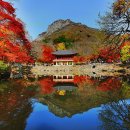 백양사농업협동조합 이미지