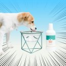 바이오덴탈 | 강아지 물에 타먹는 치석제 추천, 간편한 구강관리 덴탈워터 후기