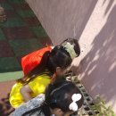 선우어린이집 이미지