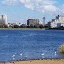 인간+자연 이미지