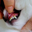 필메딕스 이미지