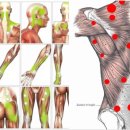 약손 테라피 이미지