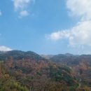 당치회관 이미지