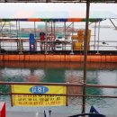 돌고래좌대낚시터 이미지