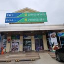 강화인삼센타 네이버블로그