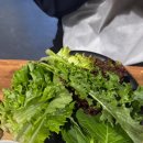 도래샘 | 도래샘 내돈내산 후기 | 닭불고기 정식 (쌈채소 무한리필)