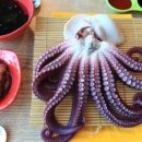 당근마차 이미지