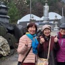 상춘농장 이미지