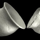 용담동 선사무덤유적 이미지