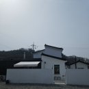 프랭크니스Frankness