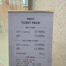 고로캣 고양이카페 | 아이와 함께 다녀온 고양이카페 고로켓 방문 후기
