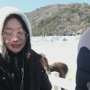 소연목장 이미지