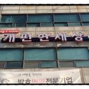 루이비똥 개 애견샵 이미지