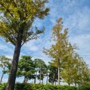 파스쿠찌(강서점) 이미지