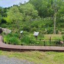 경주동궁원 이미지