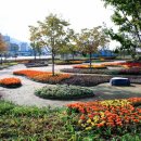 낙동야구장 2 이미지