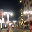 본토,만다복 이미지