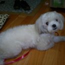 누가온누리약국 이미지