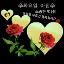 예쁜 인사말＜화요일＞ - (56) 이미지