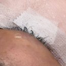 눈썹정원사 이미지