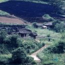 순천-74호 Daum카페