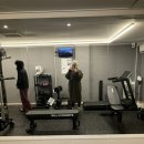 빌려줘 홈짐 이미지