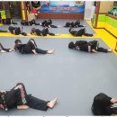 맹호 합기도 이미지