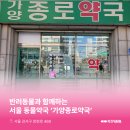 강서종로약국 이미지