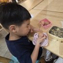 시아와 친구들 : 트레저 헌터즈 이미지