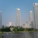 국제몰 이미지