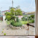 스테이 오무개 이미지