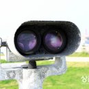 올레씨앤씨
