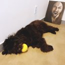 플라츠907(Platz907) 이미지