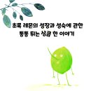 야호세탁소 이미지