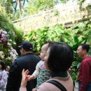 WR(서울특별시 강서구)-[마곡동로]-상-13 | 서울 실내 아이랑 가볼 만한 곳 마곡 서울식물원 주말 방문 꿀팁